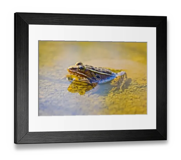 Framed Print : USA, North America, New Jersey Framed Print : USA, North America, New Jersey
