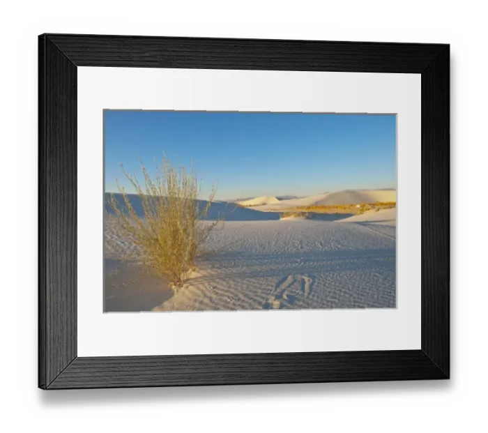 Framed Print : North America, USA, New Mexico, White Sands National Monument, Transverse Dunes Framed Print : North America, USA, New Mexico, White Sands National Monument, Transverse Dunes