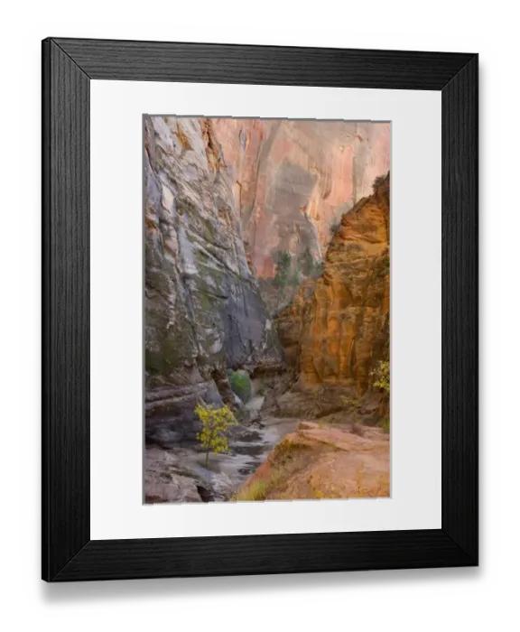 Framed Print : Echo Canyon, East Rim Trail, Zion National Park, near St. George, Utah Framed Print : Echo Canyon, East Rim Trail, Zion National Park, near St. George, Utah