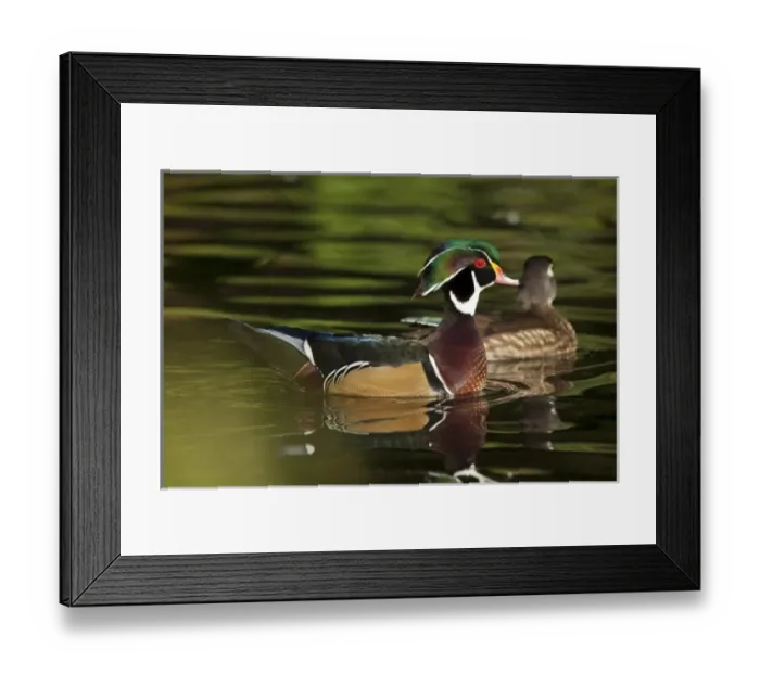 Framed Print : USA, North America, Oregon Framed Print : USA, North America, Oregon