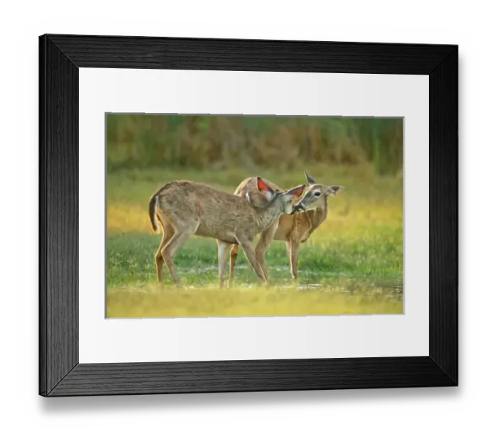 Framed Print : USA, North America, Texas Framed Print : USA, North America, Texas