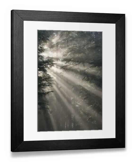 Framed Print : USA, North America, Washington Framed Print : USA, North America, Washington