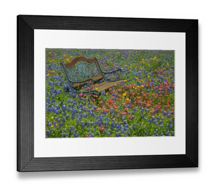 Framed Print : USA, North America, Texas