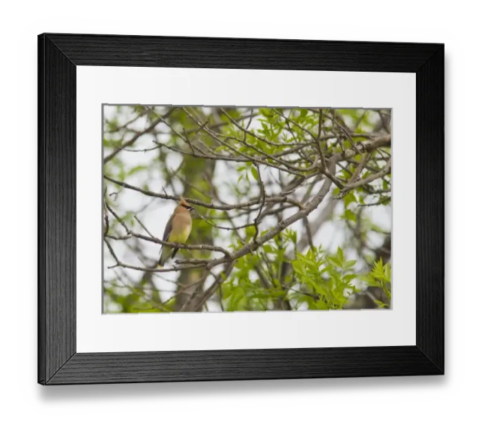 Framed Print : USA, North America, North Dakota