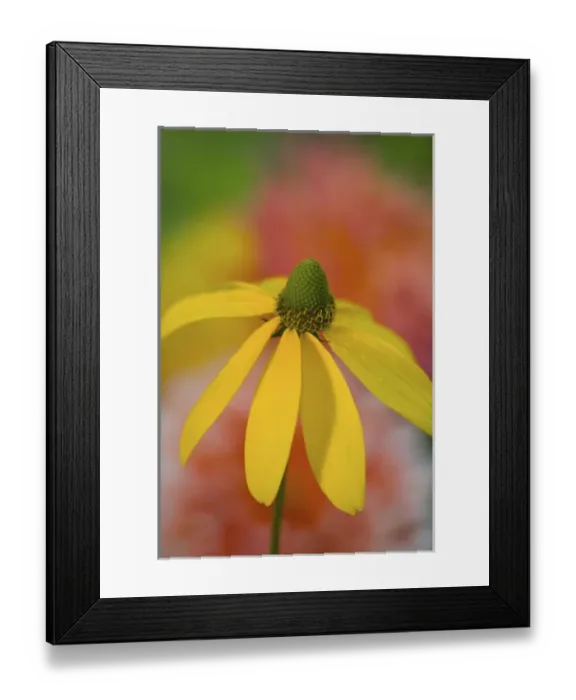 Framed Print : USA, North America, Washington