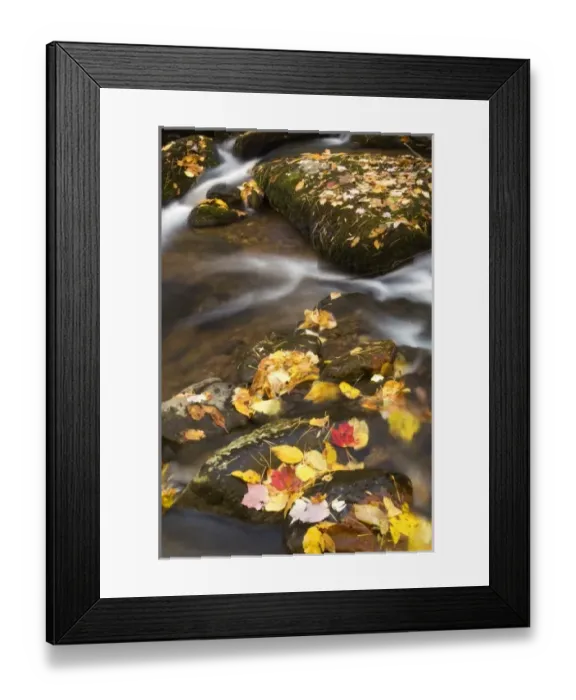 Framed Print : USA, North America, Virginia Framed Print : USA, North America, Virginia