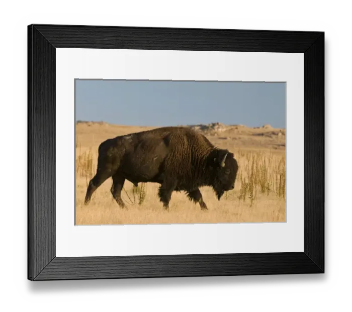 Framed Print : USA, North America, Utah Framed Print : USA, North America, Utah