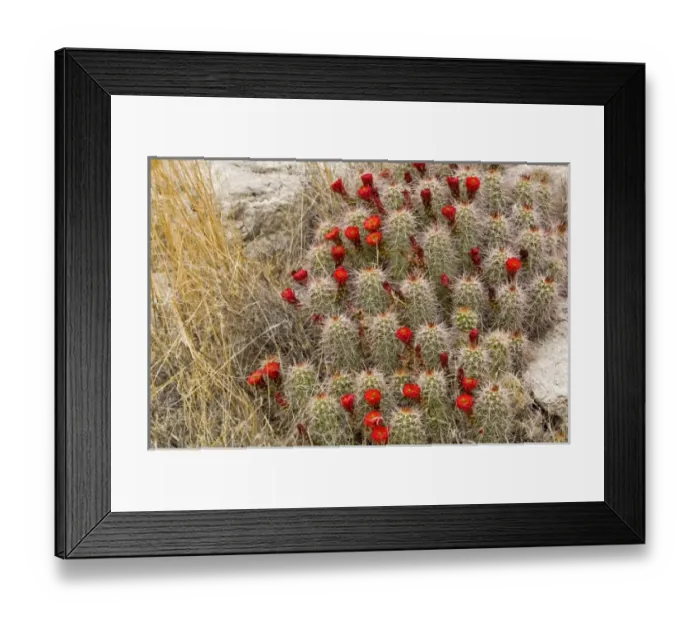 Framed Print : USA, North America, Utah Framed Print : USA, North America, Utah