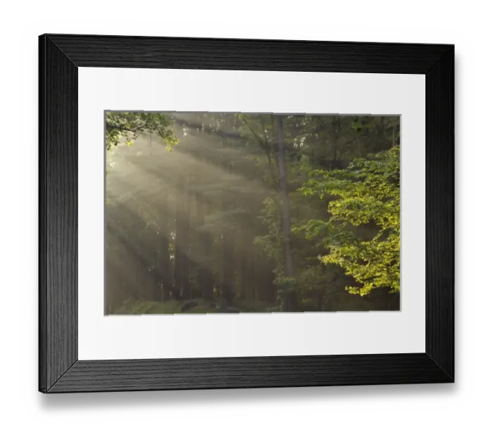 Framed Print : USA, North America, New York Framed Print : USA, North America, New York
