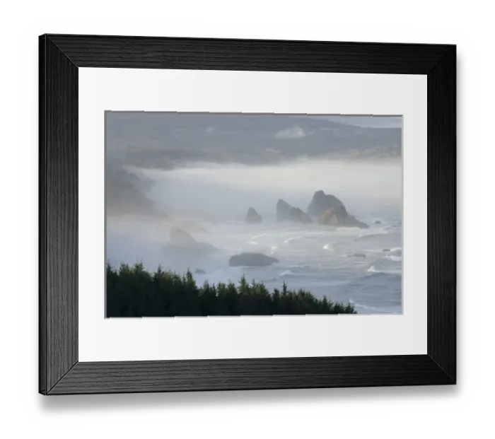 Framed Print : USA, Oregon, Gold Beach. Foggy morning on seashore Framed Print : USA, Oregon, Gold Beach. Foggy morning on seashore