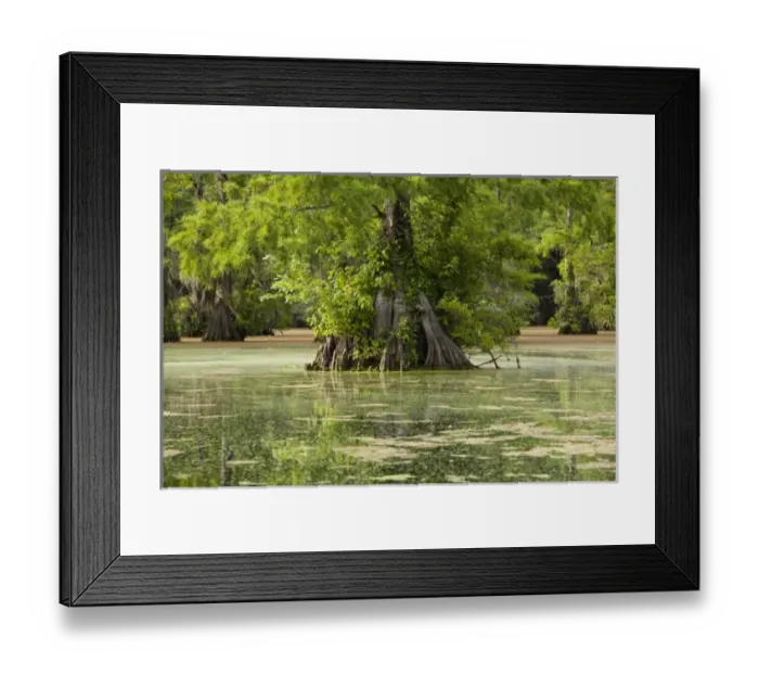 Framed Print : USA, North America, North Carolina Framed Print : USA, North America, North Carolina