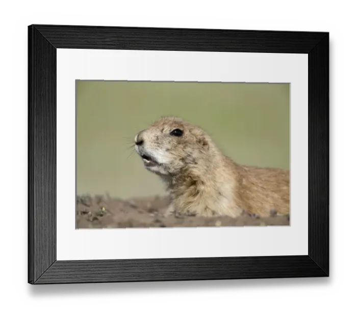 Framed Print : USA, North America, North Dakota