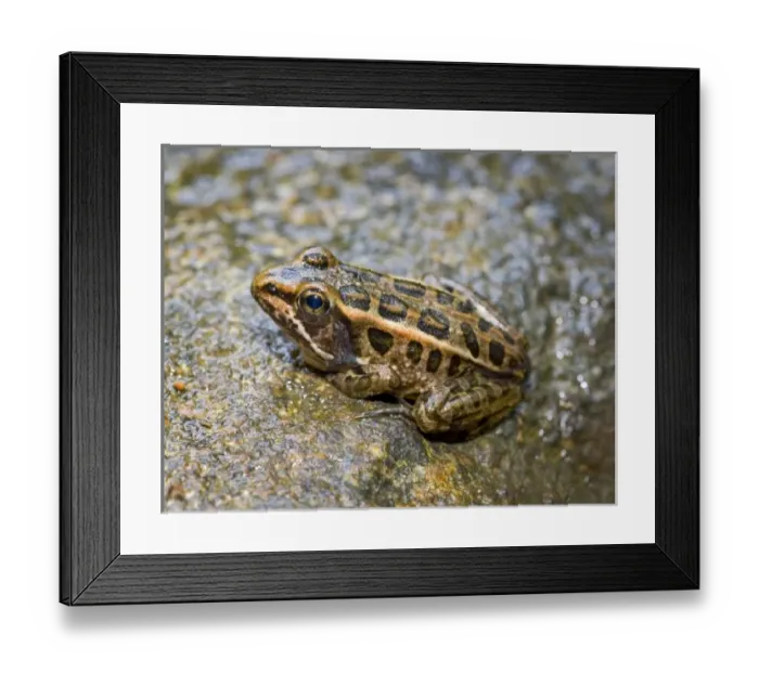 Framed Print : USA, North America, New Jersey