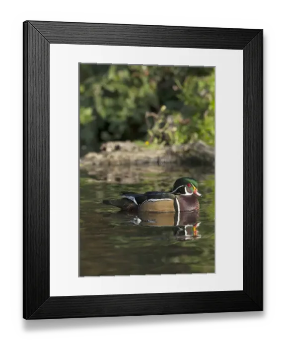 Framed Print : USA, North America, Oregon Framed Print : USA, North America, Oregon