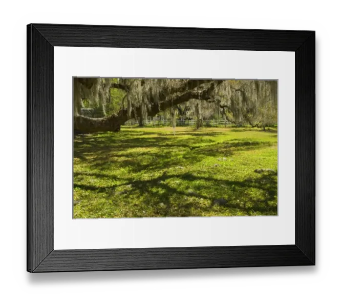Framed Print : USA, North America, South Carolina Framed Print : USA, North America, South Carolina