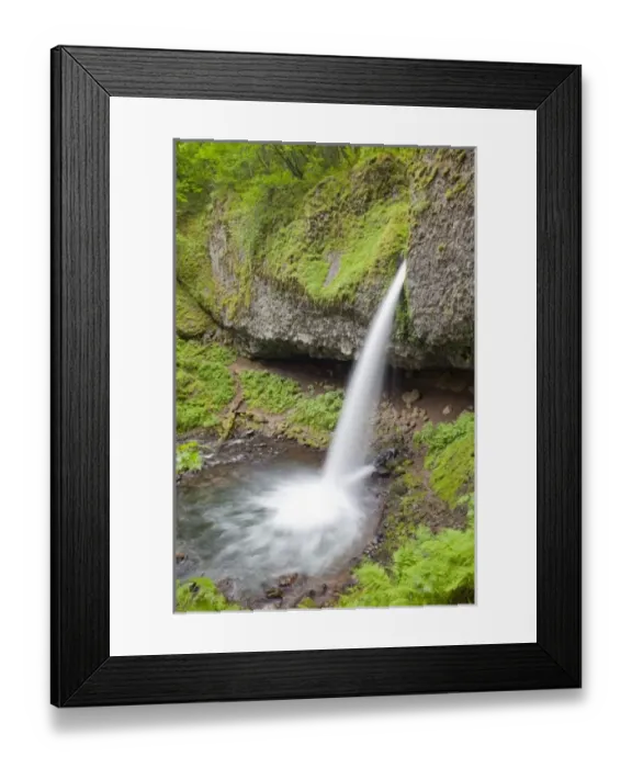 Framed Print : USA, North America, Oregon