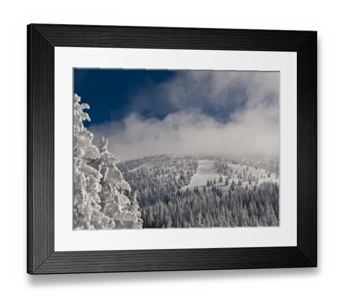 Framed Print : Snow covered trees at Santa Fe Ski Area Framed Print : Snow covered trees at Santa Fe Ski Area