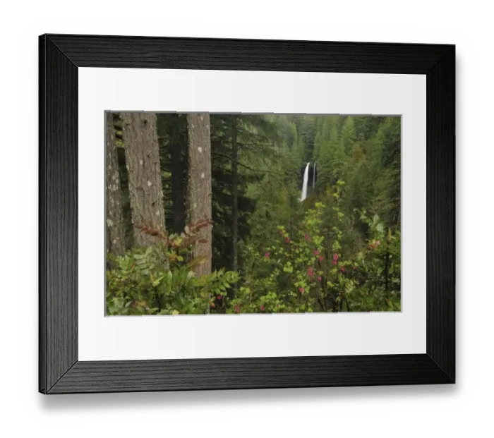 Framed Print : USA, North America, Oregon Framed Print : USA, North America, Oregon