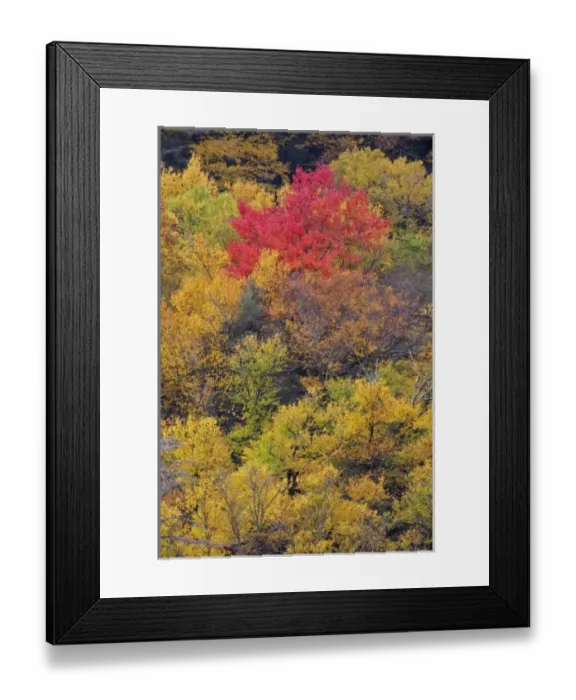 Framed Print : USA, North America, North Carolina Framed Print : USA, North America, North Carolina