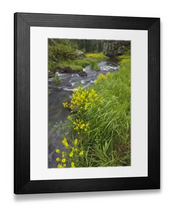 Framed Print : USA, North America, South Dakota