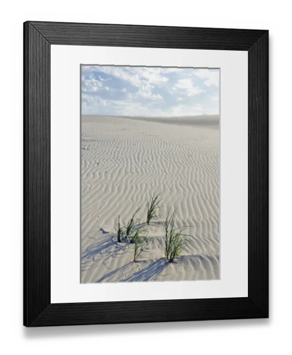 Framed Print : U. S. A. Texas. Monahans Sandhills State Park in the Big Bend area of Texas, situated Framed Print : U. S. A. Texas. Monahans Sandhills State Park in the Big Bend area of Texas, situated