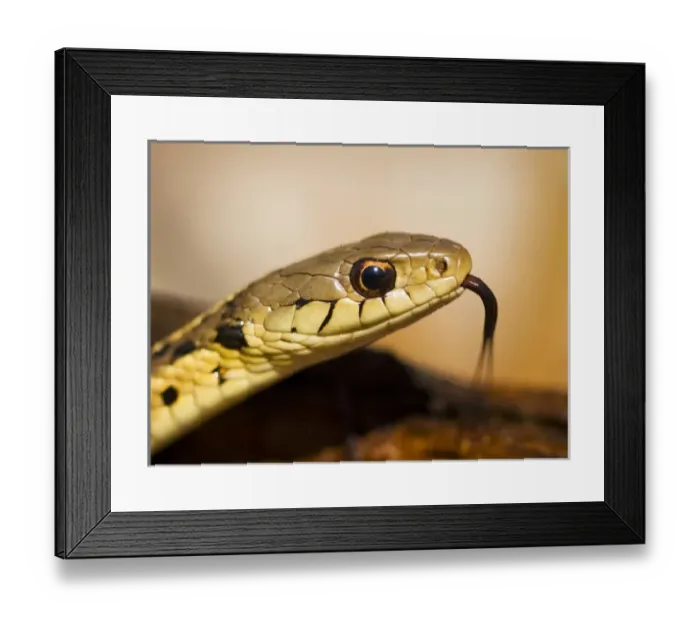 Framed Print : USA, North America, New Jersey
