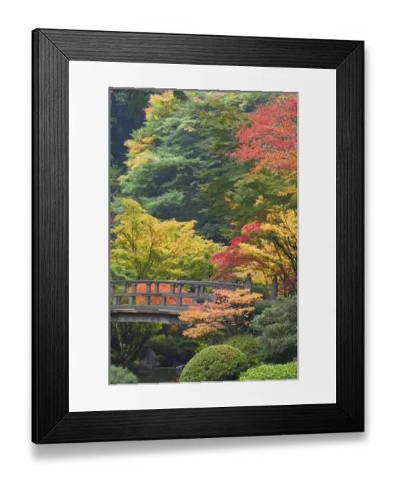 Framed Print : USA, North America, Oregon Framed Print : USA, North America, Oregon