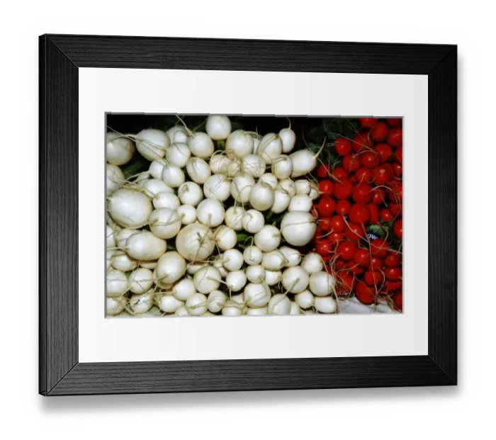 Framed Print : USA, New Mexico, Santa Fe. Santa Fe Framers Market, white & red radishes Framed Print : USA, New Mexico, Santa Fe. Santa Fe Framers Market, white & red radishes