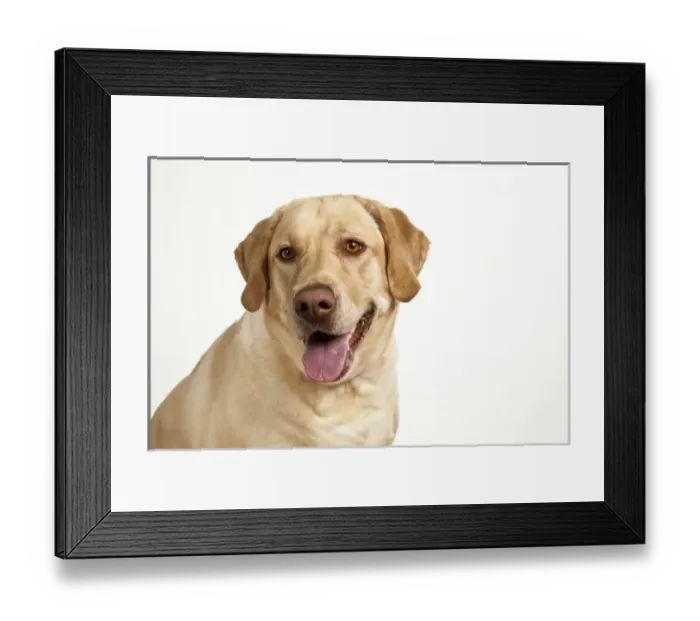 Framed Print : USA, North America, Oregon