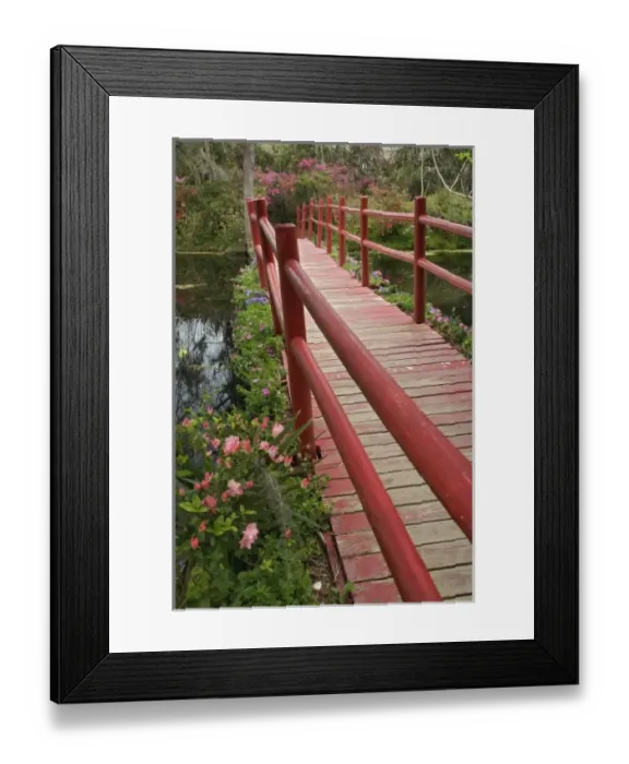 Framed Print : Red bridge over pond, Magnolia Plantation, Charleston, South Carolina