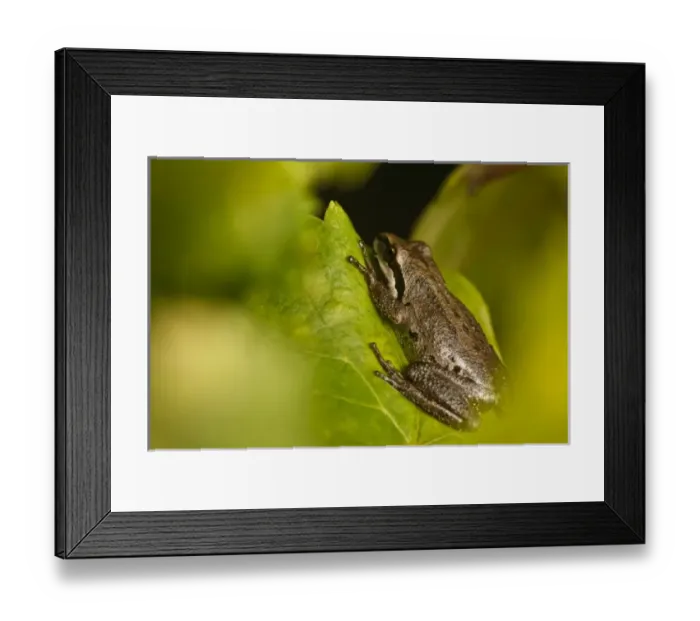Framed Print : USA, North America, Oregon Framed Print : USA, North America, Oregon