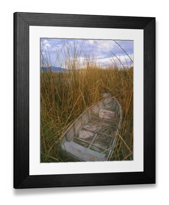 Framed Print : USA, Oregon, Upper Klamath National Wildlife Refuge, Abandoned wooden rowboat in reeds on shoreline