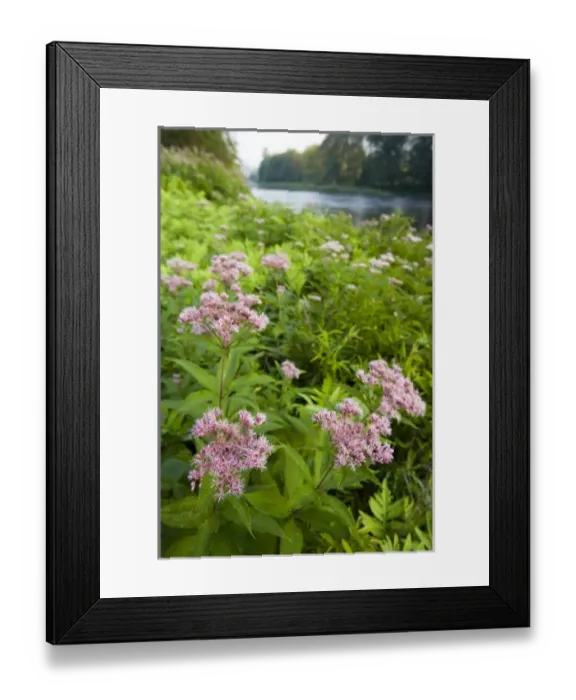 Framed Print : USA, North America, Vermont Framed Print : USA, North America, Vermont
