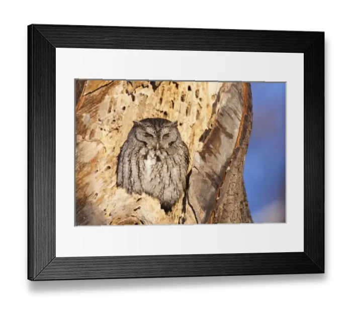 Framed Print : USA, North America, New Hampshire Framed Print : USA, North America, New Hampshire