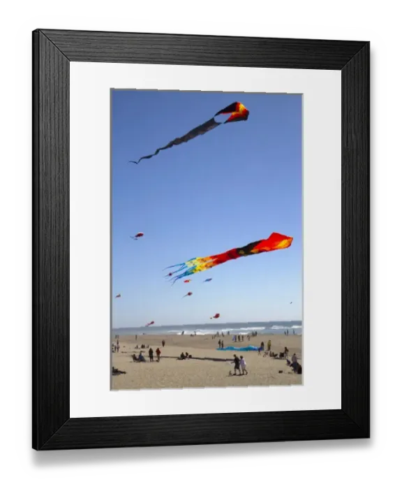 Framed Print : People flying kites along the D River in Lincoln City, Oregon, USA Framed Print : People flying kites along the D River in Lincoln City, Oregon, USA
