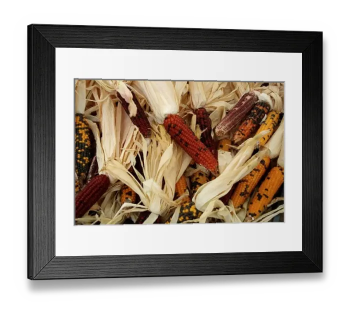 Framed Print : USA, North America, New Mexico