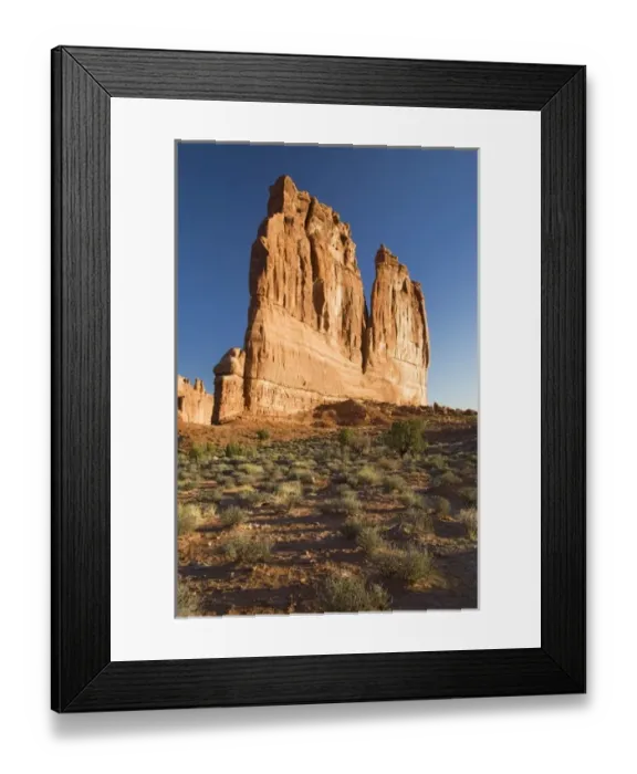 Framed Print : Utah, Arches NP, The Organ Framed Print : Utah, Arches NP, The Organ