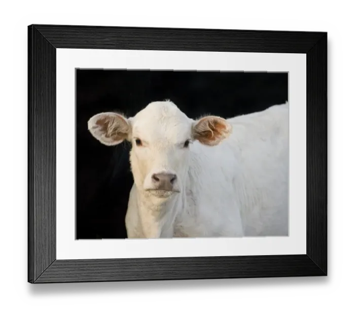 Framed Print : USA, North America, Texas Framed Print : USA, North America, Texas