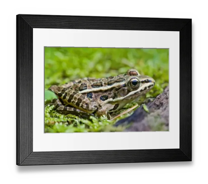 Framed Print : USA, North America, New Jersey Framed Print : USA, North America, New Jersey