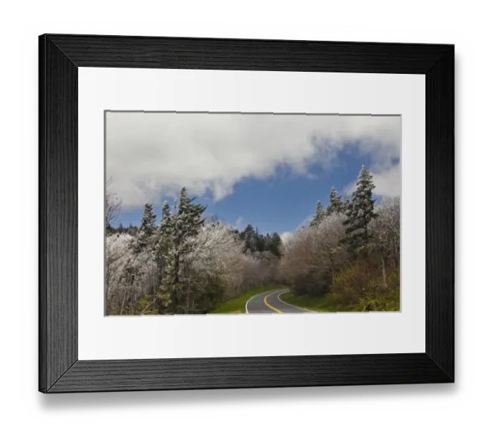 Framed Print : Rim Ice on trees, Great Smoky Mountains National Park, Tennessee