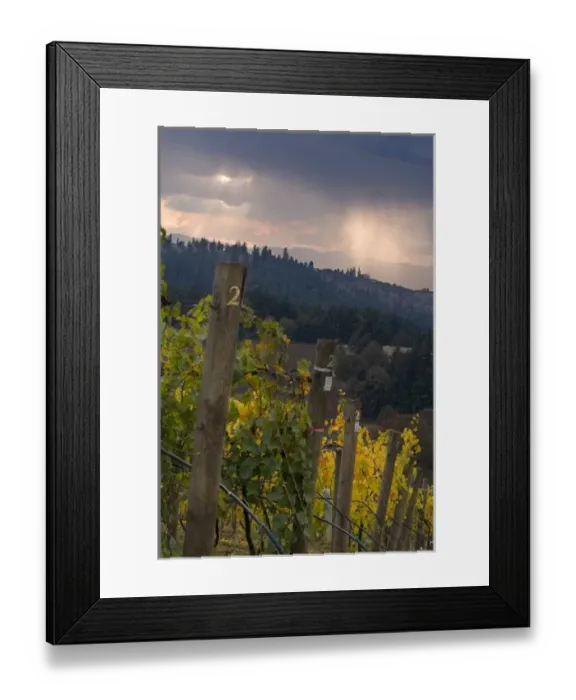 Framed Print : USA, North America, Oregon Framed Print : USA, North America, Oregon