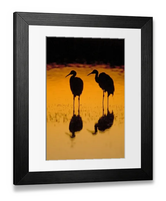 Framed Print : USA, North America, New Mexico
