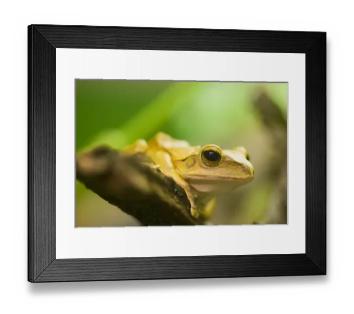 Framed Print : USA, North America, Utah Framed Print : USA, North America, Utah