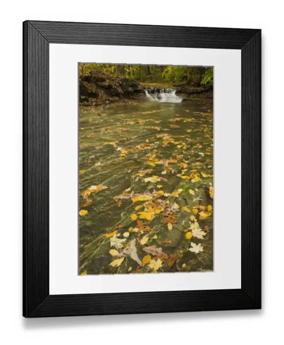 Framed Print : USA, North America, Ohio Framed Print : USA, North America, Ohio