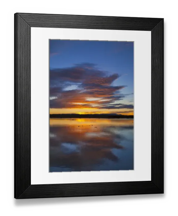 Framed Print : Vivid sunrise over still pond at Bosque del Apache NWR in New Mexico Framed Print : Vivid sunrise over still pond at Bosque del Apache NWR in New Mexico