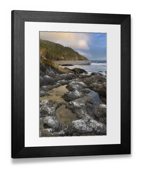 Framed Print : Coastal landscape, Oregon, USA Framed Print : Coastal landscape, Oregon, USA