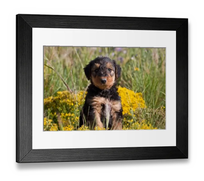 Framed Print : USA, North America, New Mexico Framed Print : USA, North America, New Mexico