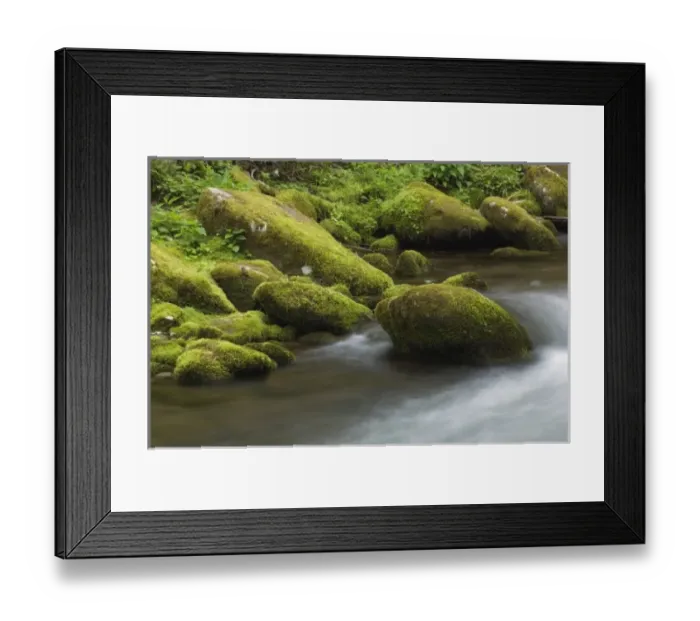Framed Print : USA, North America, Tennessee