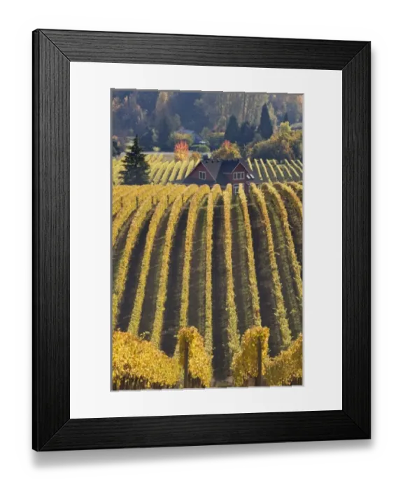 Framed Print : USA, North America, Oregon Framed Print : USA, North America, Oregon
