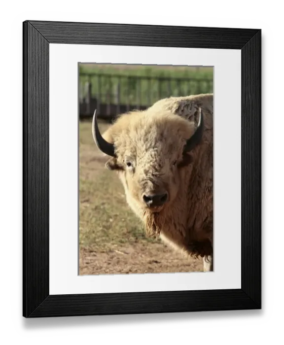 Framed Print : USA, North America, New Mexico